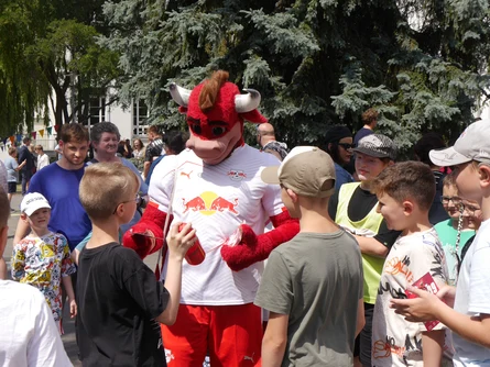 Bully beim Sommerfest