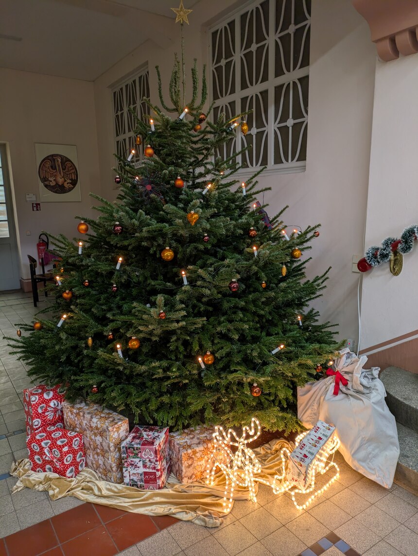 Tannenbaum